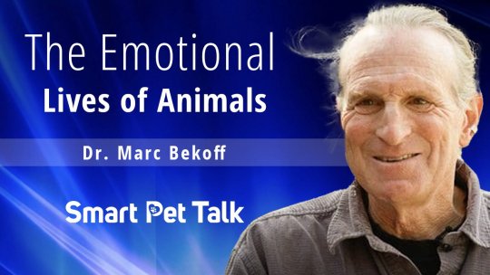 Smart Pet Talk: The Emotional Lives of Animals with Dr. Marc Bekoff - Episode 5