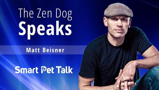 Smart Pet Talk: The Zen Dog Speaks with Matt Beisner - Episode 9