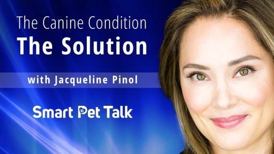 Smart Pet Talk: The Canine Condition: The Solution with Jacqueline Pinol - Episode 10