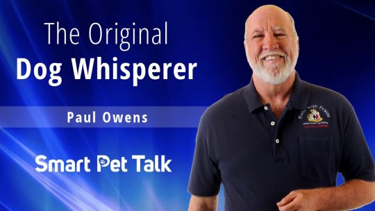 Smart Pet Talk: The Original Dog Whisperer - Paul Owens - Episode 11